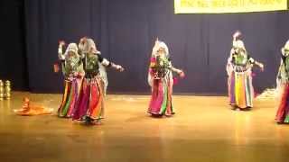 Rajasthani folk dance - shree m & n virani science college
