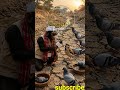 चिमणीची हाक 😢 उन्हाळ्यात पक्ष्यांसाठी एक वाटी पाणी ठेवा|#bird #monkey