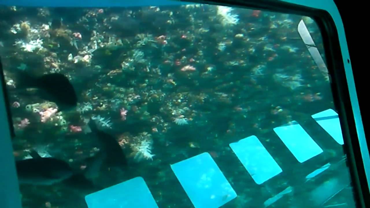 牛深海中公園グラスボート 牛深海中公園遊覧グラスボート サブマリン号 株式会社ブルーマリンサービス