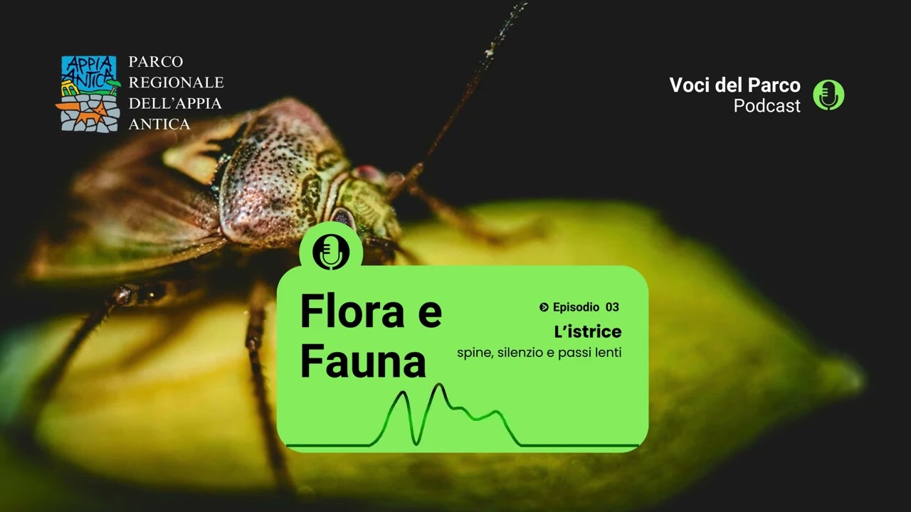 Flora e Fauna | Episodio 3 | L’istrice - spine, silenzio e passi lenti