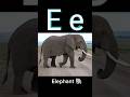 E for elephant eagle ear eye egg english alphabet e e  making words with letter e e