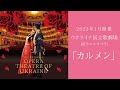 【23年1月開催】ウクライナ国立歌劇場「カルメン」PV
