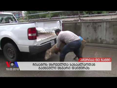 ამერიკა 60 წამში