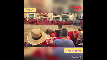 Разъяренный бык ударил человека в лицо! Ужас! Смотреть всем! Не повторять!