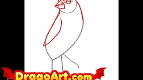 How to Draw a Cardinal, step by step