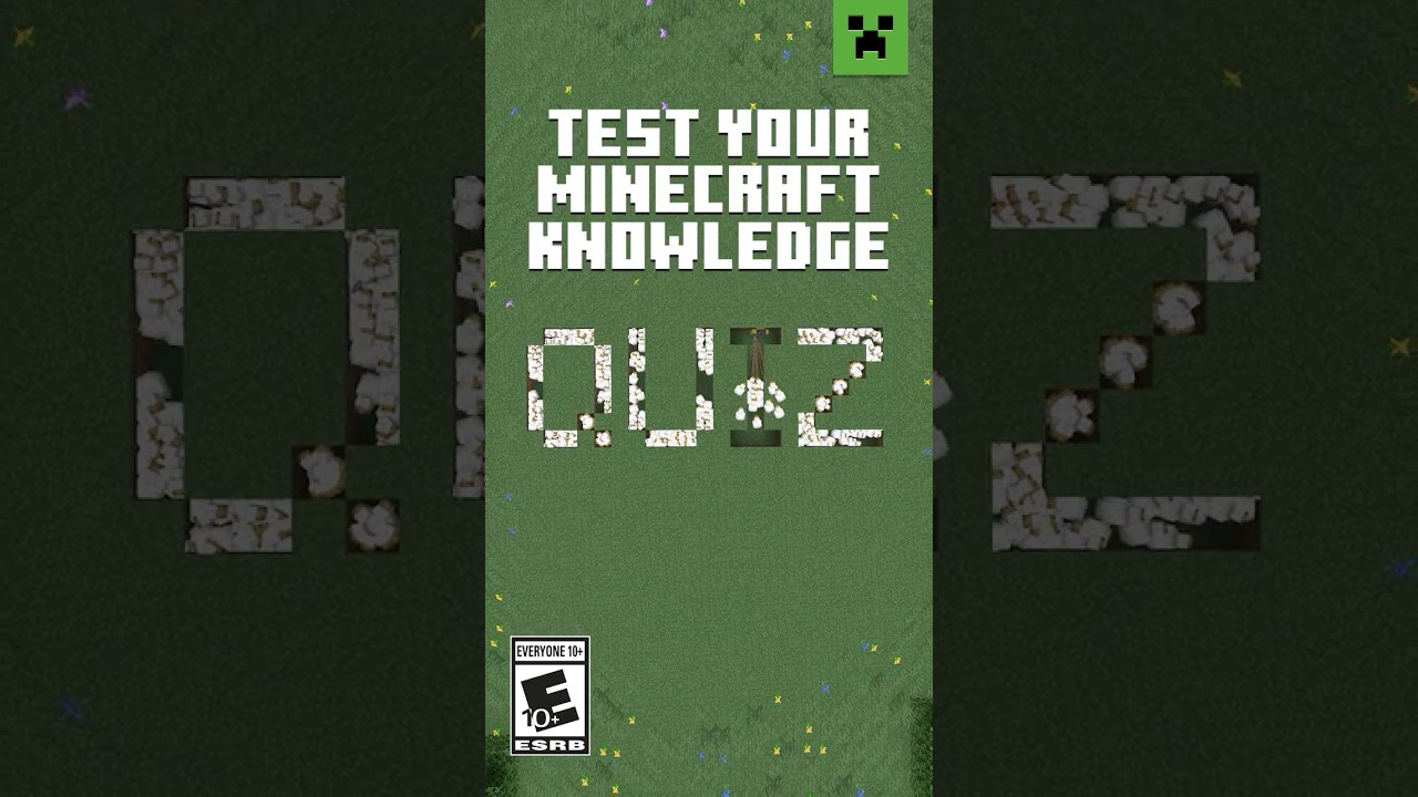 CAN YOU BEAT THIS MINECRAFT QUIZ?