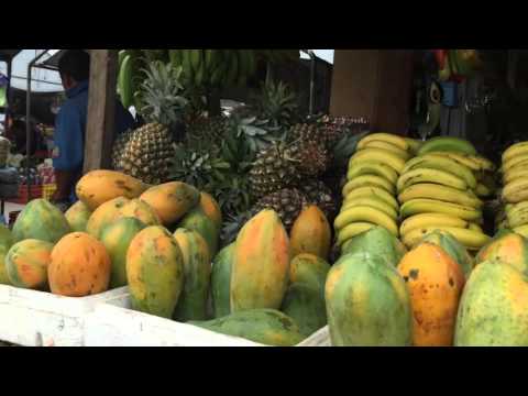 Farmers Market in San Ignacio, Belize
