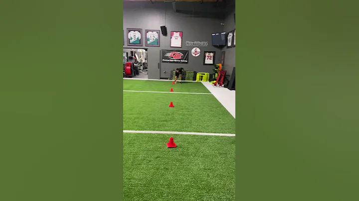 8 Cone Snake Drill Sprint Shuffle Sprint