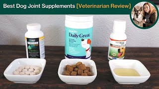 Best Joint Supplements for Dogs [Veterinarian Review]