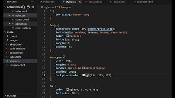 Web Programming - Unit 6 - Lecture/Demo - Box Model & Site Design Basics - Fall 2025