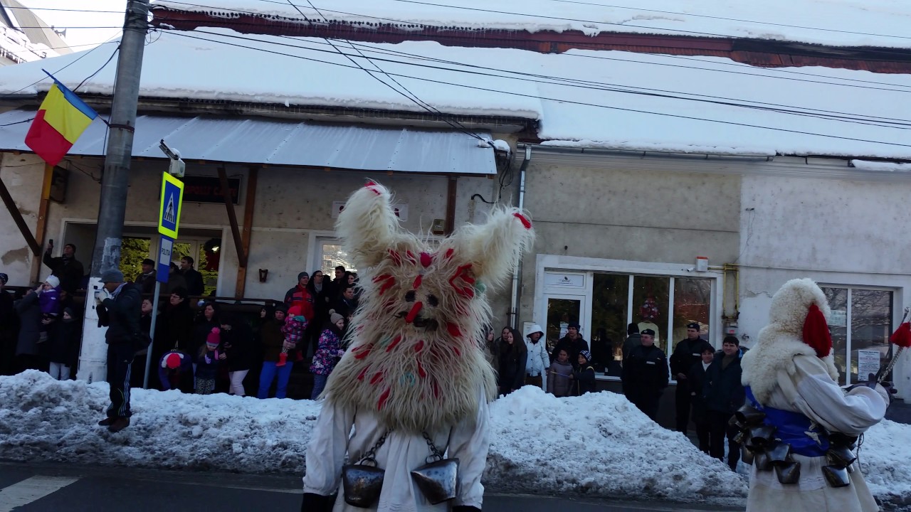 Brondosii,Baia Sprie 2017