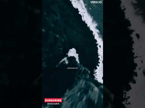 Imagine Dragons Believer Lyrics 