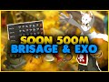 OBJECTIF KAMAS | Nouveau Bilan & Session Brisage/Exo ! - DOFUS