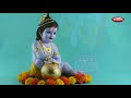 Little Krishna Stories in English | Bal Krishna Stories | Devotional Stories | Pebbles Live Mp3 Song