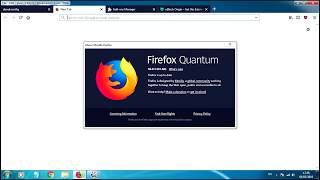 how to enable blocked extensions & plugins in firefox