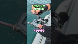 バルケッタPREMIUM ドラグ音♪ #広島釣り #釣り #広島湾