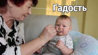 VLOG: Пробуем прикорм VLOG: Пробуем прикорм