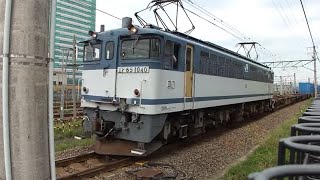 ジョイント音 951レ JR貨物 EF65 1040号機 新鶴見機関区所属 代走牽引貨物列車 東海道本線 東静岡 草薙駅間通過