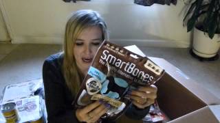 Chewy Haul Time   What I Feed My Dogs!