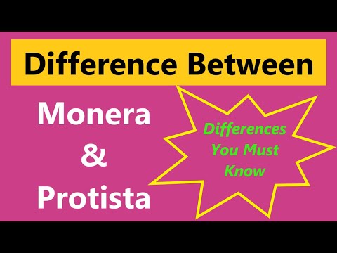 Difference Between Monera and Protista by Ridhiz daily info