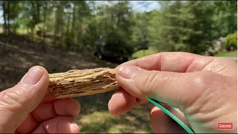 Punkwood Ignitions... Wallet Fresnel Lens, Empty BIC