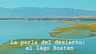 La perla del desierto: el lago Bosten