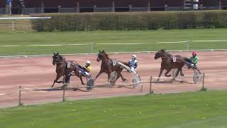 Vidéo de la course PMU CRITERIUM DES 5 ANS