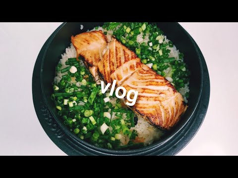 vlog)🍚솥밥요리🍚곤드레밥, 연어솥밥, 콩나물밥