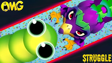 snake.io🐍Epic Bird snake skin🐍Epic Bird snake party,Zero to Hero gameplay🐍Snake Struggle