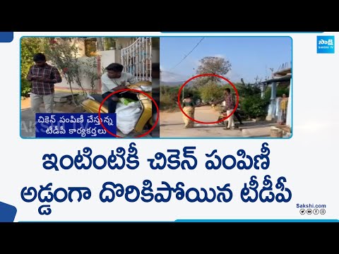 TDP Leaders Distribute Chicken to Voters in Tirupati | Chandrababu |@SakshiTV - SAKSHITV