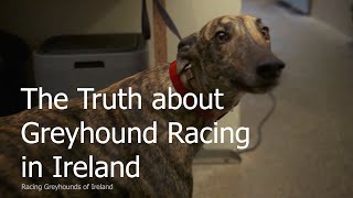 Setting the Record Straight | #BehindTheTrack Part 7