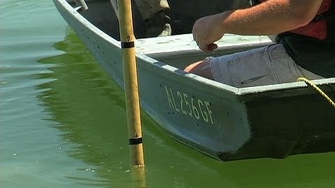 Estimating Volume of Water to Treeat With Rotenone