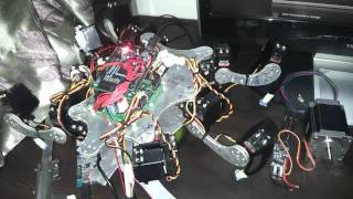 Hexapod : Inverse Kinematics & Wave GAIT Test