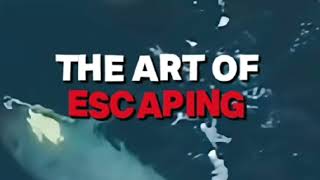 The Art Of Defending  The Art Of Escaping Tiktok Trend