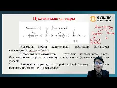 Бейне: Салаттың нуклеин қышқылдары бар ма?