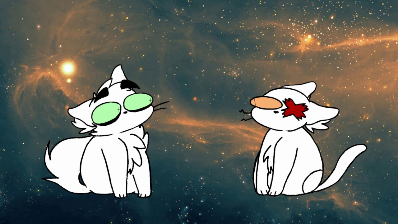 meow (meme) youtube maxresdefault meow (meme) youtube,Meow Meme