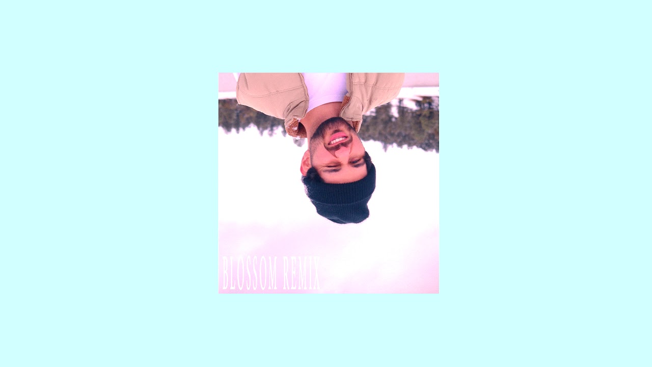 Aries - Blossom (eric van remix)