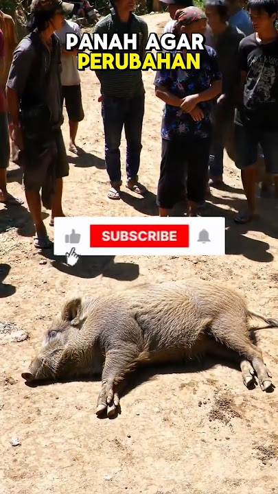 Perubahan Babi Ngepet Jadi MANUSIA #trending #trendingshorts #viralshorts  #fyp #ai #video