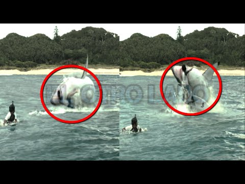 Los Ataques de Tiburones mas Brutales (videos)