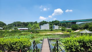 퇴임식공연(사무실)&amp;버스킹(청석공원)&amp;알로하공연관람(한밭대학교 아트홀)-2025년6월 (1일,21일,25일)