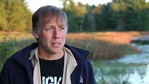 Resolving the root causes of conflict = Peace