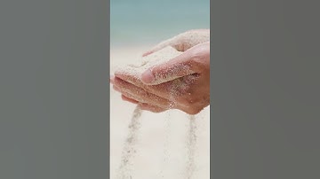 Subterranean Sojourn Delving into Dirt  #scienceeducation #science #shorts  #soil #educationalvideo