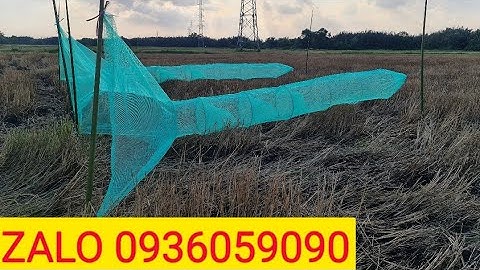 Bán dớn chặn sông, bán xăm bắt cá, bán lú bắt cá, bán đuôi chuột, bán bẫy cá. Zalo 0936059090.