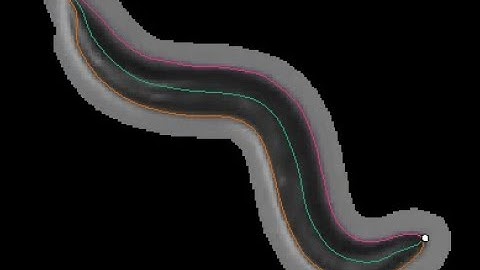 worm tracking 2021 04 13 02 38 54