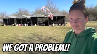 This Problem Has Got To Be Fixed Or They Will All Break!!￼ by Life On The Eddy Family Farm 12,315 views 1 month ago 22 minutes
