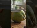 Green Coconut Cutting ASMR | Satisfying Fresh Coconut Slice 🔪✨