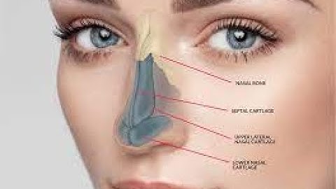 Rhinoplasty CPT code - simplify medical coding
