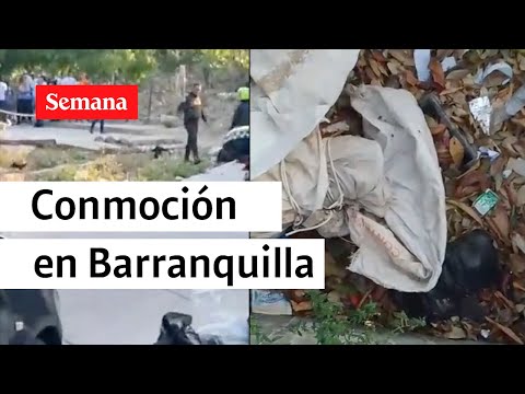 Dos cuerpos hallados dentro de costales | Videos Semana