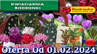 𝐁𝐈𝐄𝐃𝐑𝐎𝐍𝐊𝐀 🐞 Kwiaciarnia Biedronki Nowa Oferta Od 01.02.2024 | Kwiatowe Inspiracje Biedronki Resimi