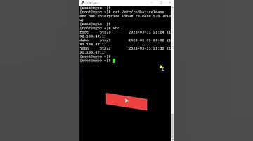 Who Command 🤩 in Linux #trending #linux #linuxtraining #linuxcommands #shorts #viral
